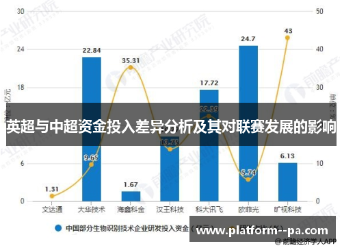 英超与中超资金投入差异分析及其对联赛发展的影响
