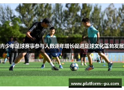青少年足球赛事参与人数逐年增长促进足球文化蓬勃发展